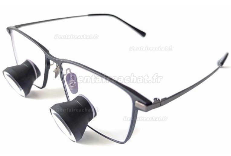 Loupes dentaires TTL Micare 21NM 2.5X/3.0X/3.5X, loupes binoculaires médicales de type galiléennes